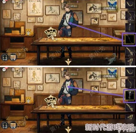 栖云异梦寻煌迹：黑板动物题全面解析，第一章攻略全流程指南