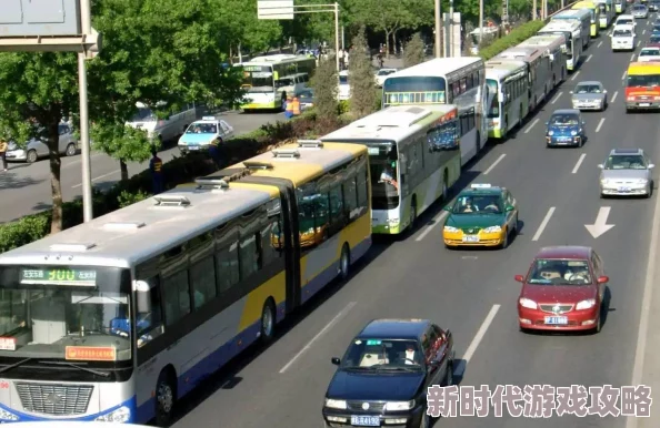 短篇强系列小说公交车：在城市的喧嚣中，乘客们的故事交织成一幅动人的生活画卷
