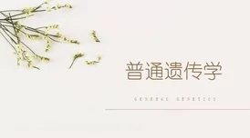 全国b站可以进入，传闻背后隐藏着哪些不为人知的故事与内幕？