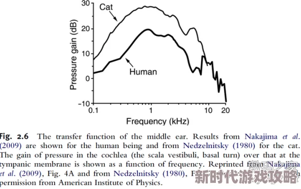x7x7x7任意噪＂引发广泛关注，科学家发现其背后隐藏惊人秘密，或将改变我们对噪声的认知！