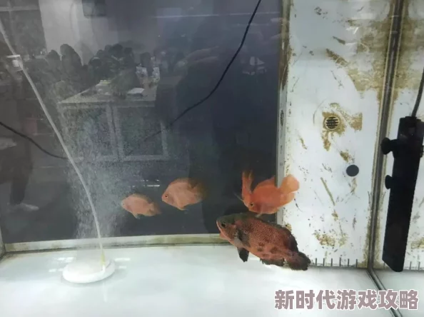 色妲己视频导航:最新动态与精彩内容更新,带你领略不一样的视听盛宴! 色妲己视频导航:最新动态与精彩内容更新,带你领略不一样的视听盛宴!