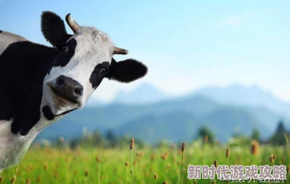 奶牛淫娃：揭示现代农业中动物福利与伦理的复杂关系，探讨人类与动物之间的互动与影响