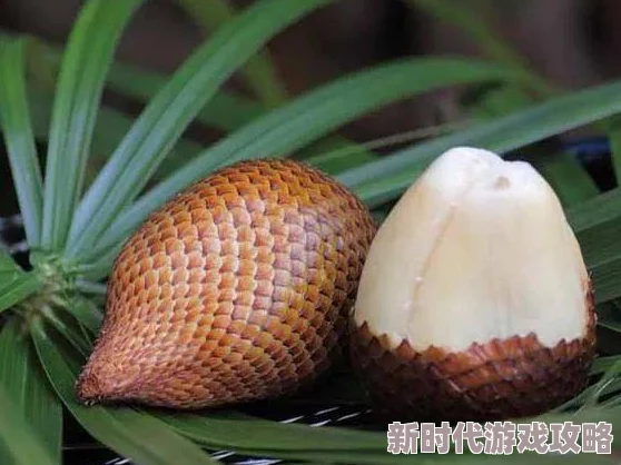 国产青草亚洲香蕉精品久久，真是个有趣的名字，让人忍不住想了解更多内容