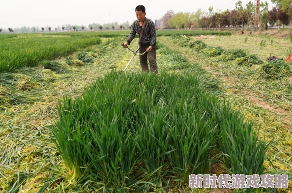 脱个精光美女图片近日在社交媒体上引发热议众多网友纷纷分享和评论相关内容成为网络热门话题吸引了大量关注 脱个精光美女图片近日在社交媒体上引发热议众多网友纷纷分享和评论相关内容成为网络热门话题吸引了大量关注