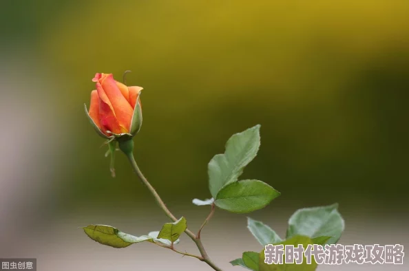 涩涩爱在线视频在传播积极向上的爱情观念，鼓励人们珍惜身边的美好情感，共同创造幸福生活