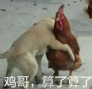男人鸡鸡桶女人视频最新进展消息引发广泛关注相关部门已介入调查并表示将依法处理此事件以维护社会秩序
