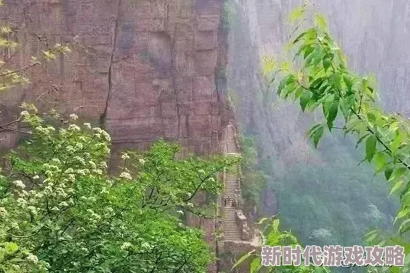 第五人格玩家热议：喧嚣特质该如何选择？权威推荐与网友评价汇总