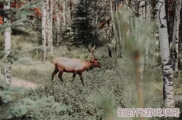 网友热议：怪物猎人冰原中哪位角色颜值更高？深度评价揭晓！