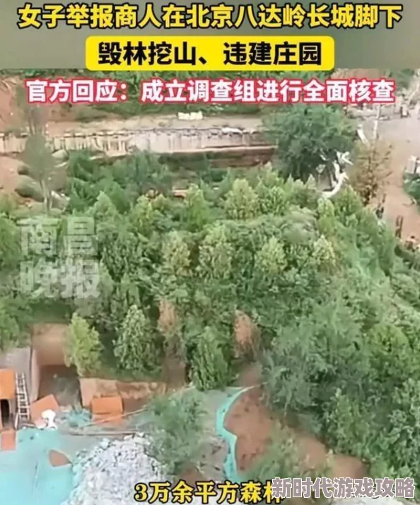 网友热议：守护庄园下载及预约渠道全攻略分享与评价汇总