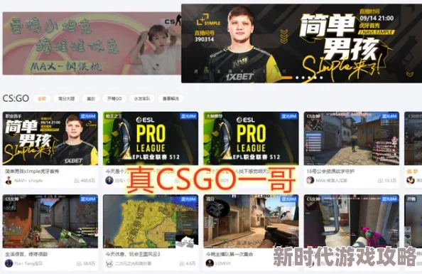 2024年人气爆棚！网友力荐经营游戏合集，必玩佳作下载地址大揭秘！