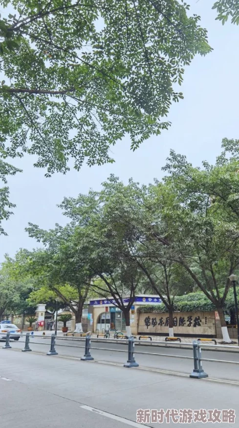 2024热门沉浸式找不同游戏大盘点，网友力荐的几款精彩找茬游戏体验