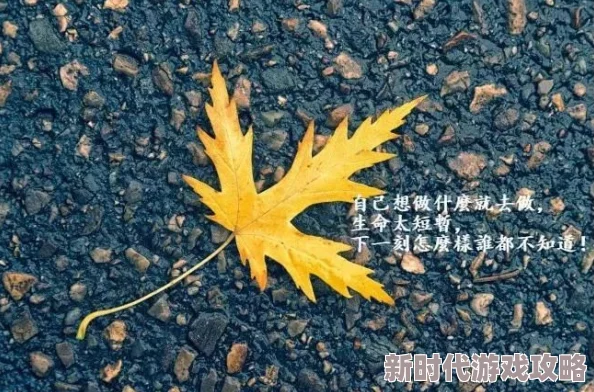2024经典塔防生存游戏大全：网友热评好玩至极的塔防游戏精选合集