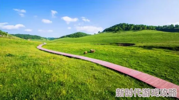 综合开心四月份激动的心情迎接春天的到来感受自然的美好