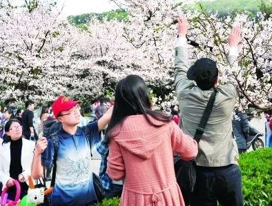 男插女一起爽的免费樱花小视频不期而遇