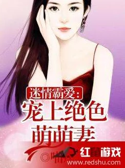 我的绝色总裁未婚妻野火春风“逗”古城（TV版）