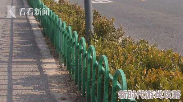 无遮挡很爽很污很黄的最近爆红网络神曲《芒种》火遍大街小巷