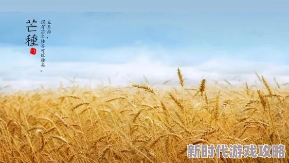无遮挡很爽很污很黄的最近爆红网络神曲《芒种》火遍大街小巷