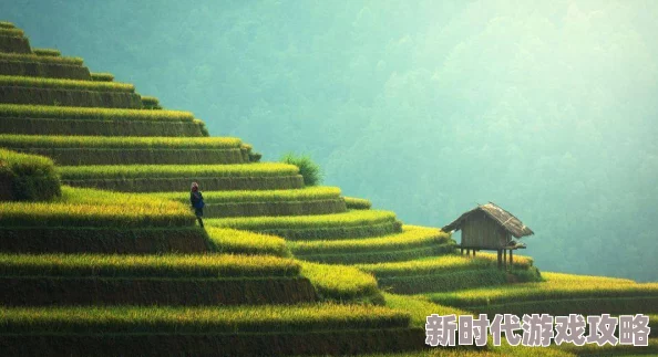 无遮挡很爽很污很黄的最近爆红网络神曲《芒种》火遍大街小巷