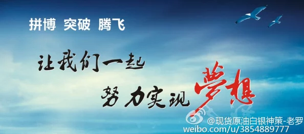 leolulu让我们一起追求梦想，勇敢面对挑战，积极向上，创造美好未来