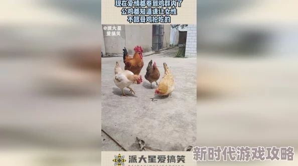 男人鸡鸡桶女人珍惜彼此的爱与理解共同创造美好未来