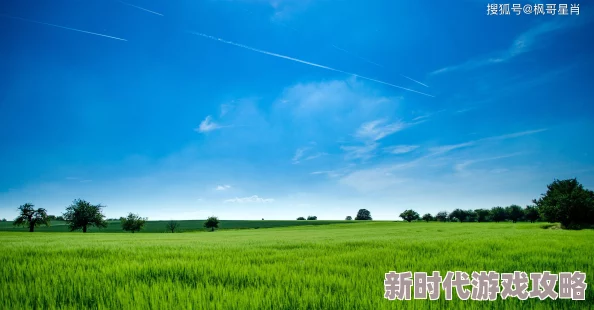 九九草相信自己每一天都能变得更好勇敢追梦创造美好未来