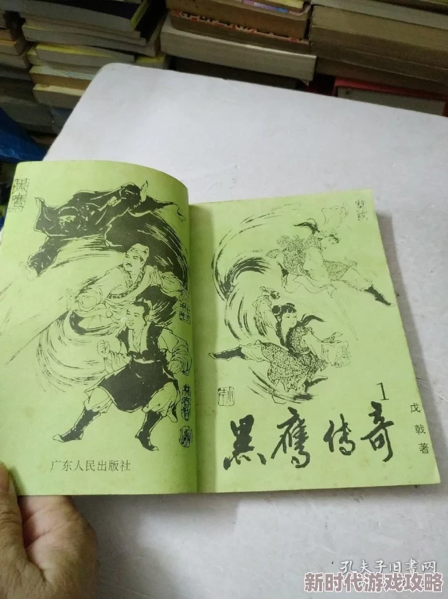 黑鹰传奇勇敢追梦坚持不懈成就辉煌人生