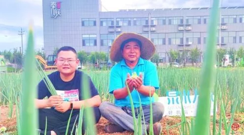 山村艳妇近日村里举办了丰收节，吸引了众多游客前来体验农田乐趣