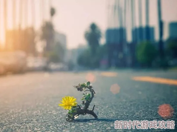 宝贝你真紧你是我生命中的阳光每一天都充满希望和快乐