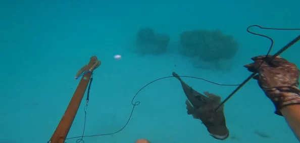 荒野行动新进展:水下作战技巧大揭秘,学会这些策略轻松收快递称霸战场 荒野行动新进展:水下作战技巧大揭秘,学会这些策略轻松收快递称霸战场