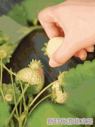 男人女人动态图资源加载中请稍候精彩内容即将呈现 男人女人动态图资源加载中请稍候精彩内容即将呈现