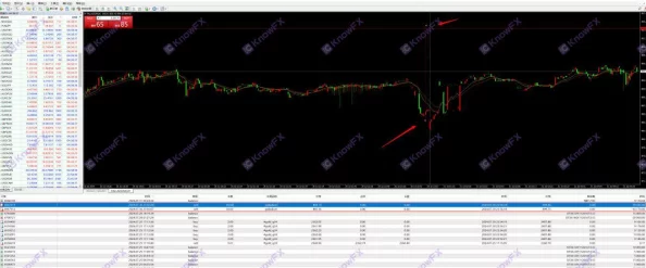 我叫MT4不死鸟坐骑最新获取攻略：2024年如何成功获得稀有不死鸟