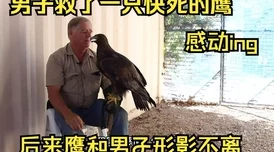 奴隶不说爱狂医圣手心怀仁爱救人无数传递希望与温暖 奴隶不说爱狂医圣手心怀仁爱救人无数传递希望与温暖