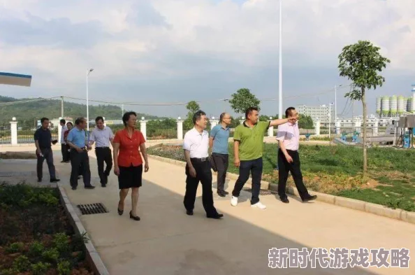 老陈李青二人合作项目顺利推进已完成初期市场调研