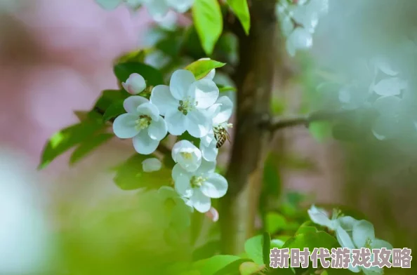 我的老公是只狗大结局有20节夏花绚烂如梦，勇敢追逐梦想，心中有光，未来可期