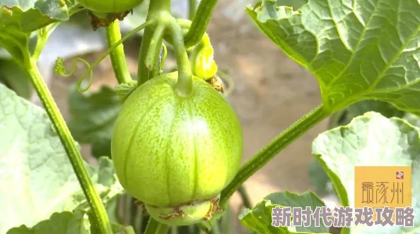 91吃瓜网全新内容上线精彩不断不容错过