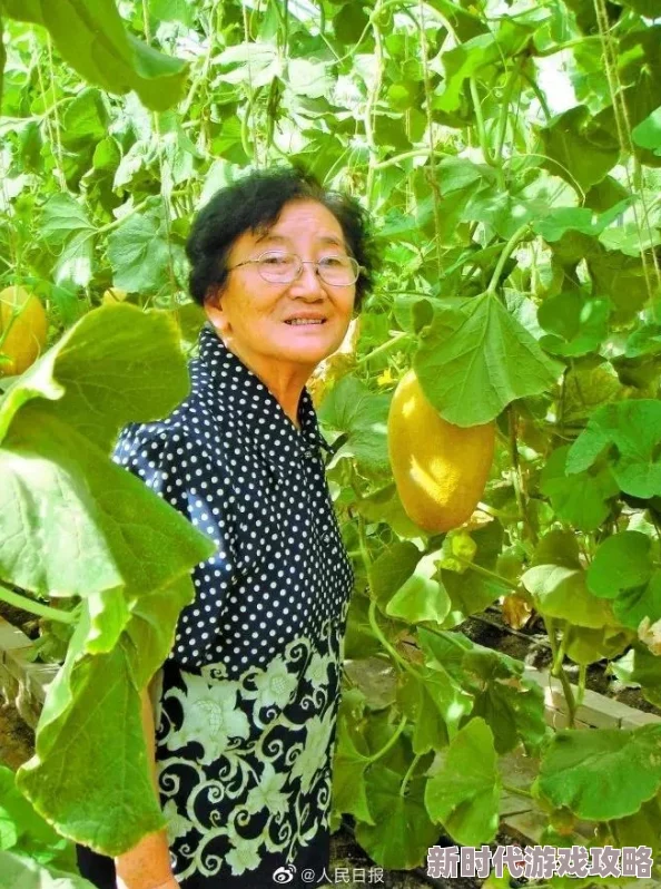 91吃瓜网全新内容上线精彩不断不容错过