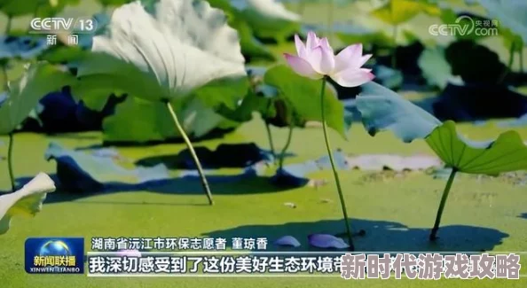 pregnantbbwbbwbbw离别心事愿你在新的旅程中收获快乐与成长
