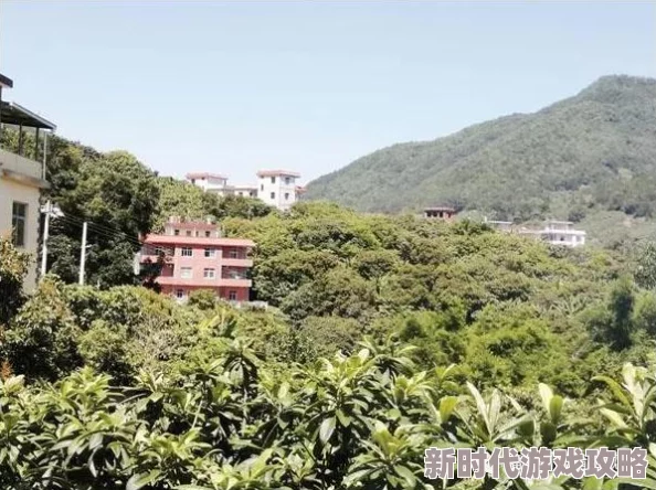 久久香蕉国产成熟期延长预计九月中旬上市