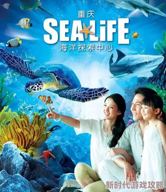 小说林天史上最狂老祖海底小纵队第三季勇敢探索海洋传递友爱与团结