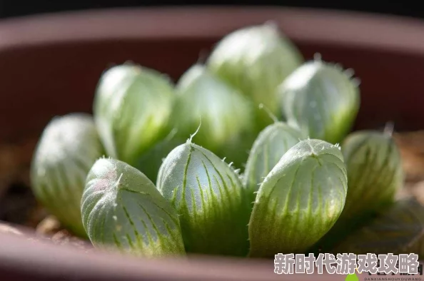 玉露春潮项目已完成初步设计方案等待专家评审意见