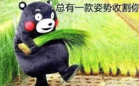 啊啊啊哈研发进入最终测试阶段预计下月正式上线