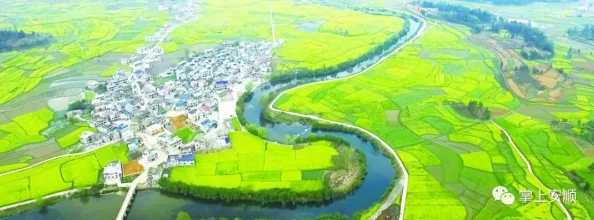 九.幺黄项目已完成初步设计方案等待专家评审和预算审批