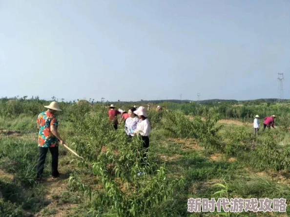 创造与魔法乐园岛盛大公开！附最详细功能介绍及最新建设进展消息