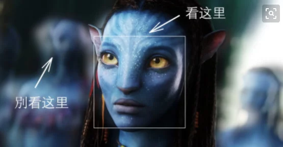 国产精品欧美一区喷水更新至第10集画质提升新增花絮