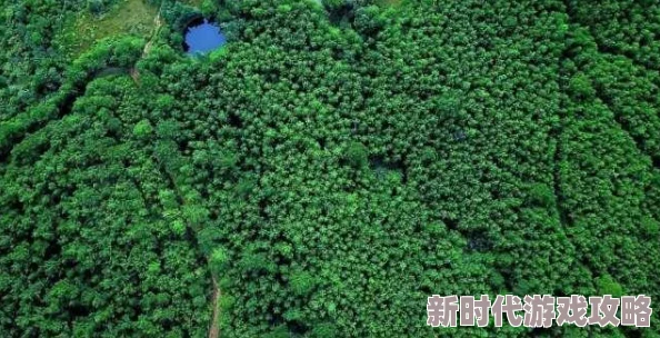 天空之门强化石最新获得方法全解析及获取途径介绍