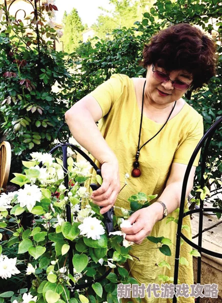 老卫淑蓉退休生活安逸闲适每日养花弄草含饴弄孙