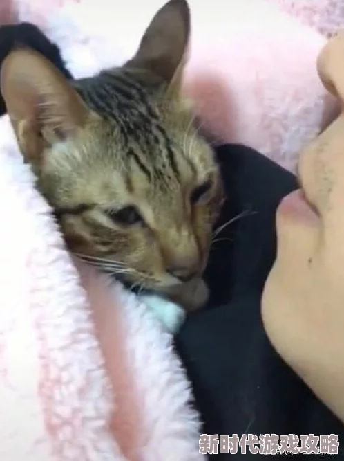 我真没想抢男主txt最新章节已更新至第120章女主终于发现了真相