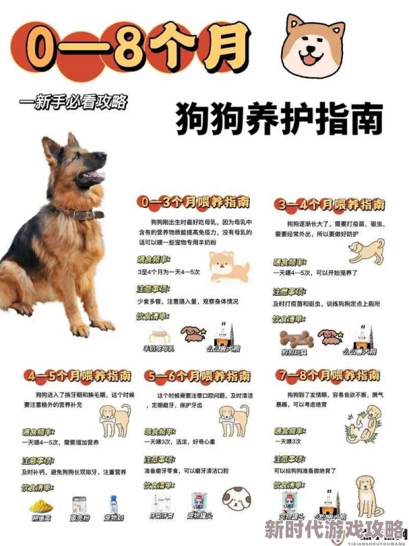 人犬胶配方大全图片配方更新新增多种犬种适用版本