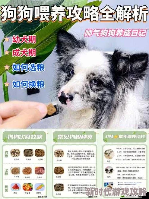 人犬胶配方大全图片配方更新新增多种犬种适用版本