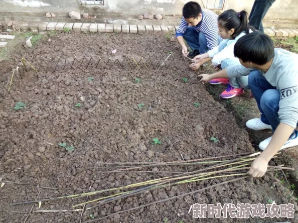 下课后体育器材室下种锄头铁锹已备好静待放学后播撒希望种子